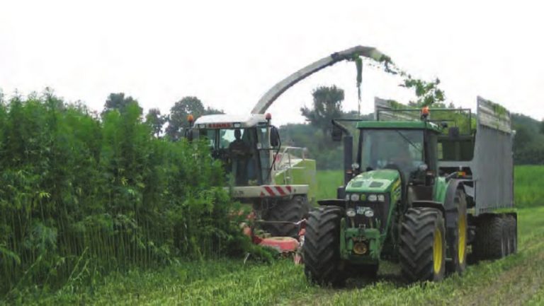 WCA Helps Local Farmers get to grips with Hemp