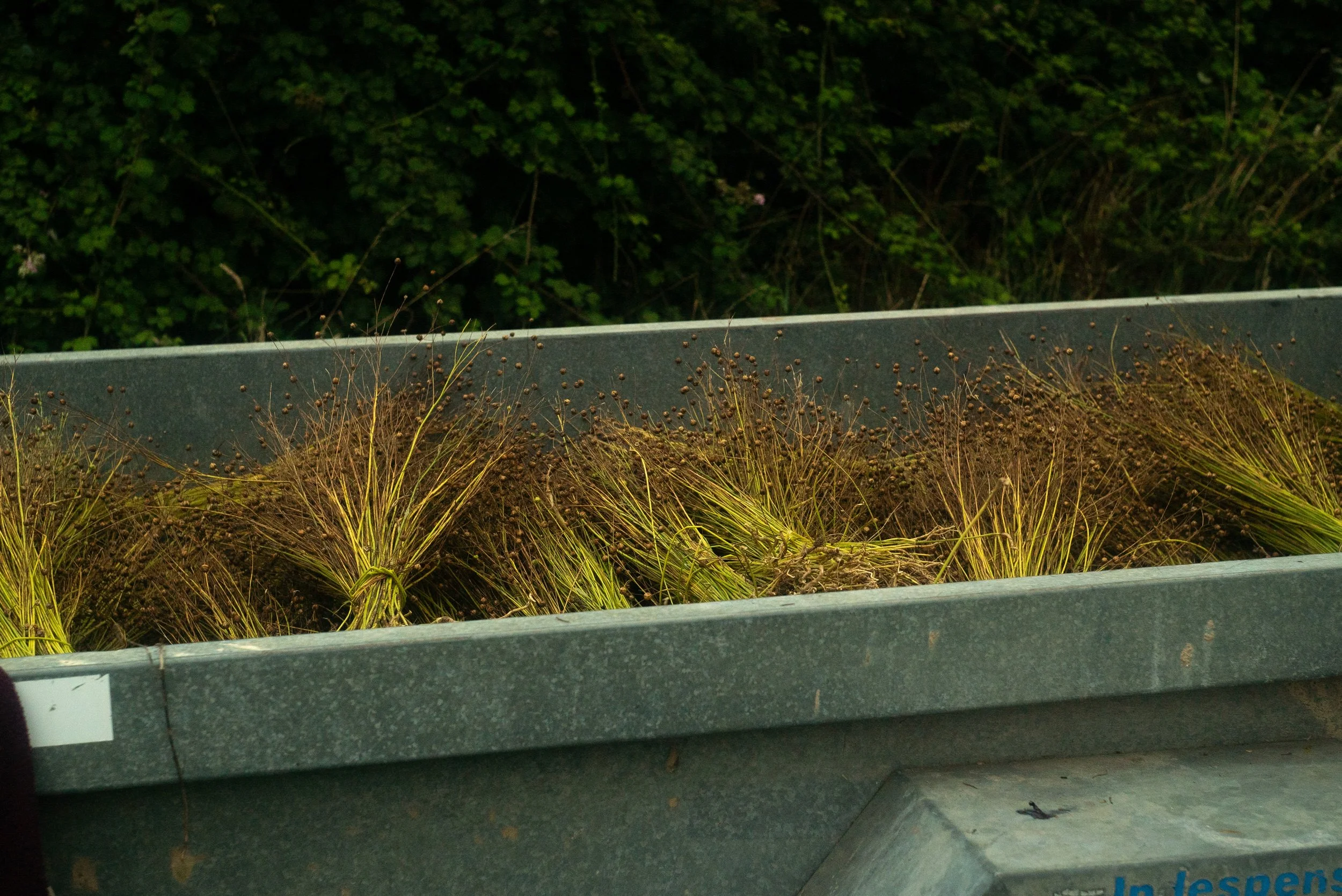 WhatsApp Image 2025 02 07 at 10.40.20