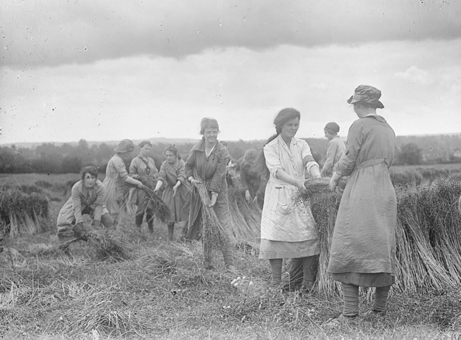 489522450 9753634298020460 1732283559202341898 n